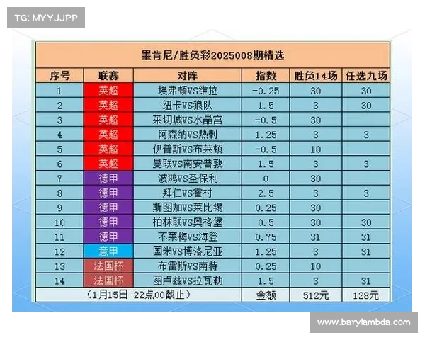 2025英超赛季球场维护与升级方案探索及其对赛事影响分析 2025英超赛季球场维护与升级方案探索及其对赛事影响分析